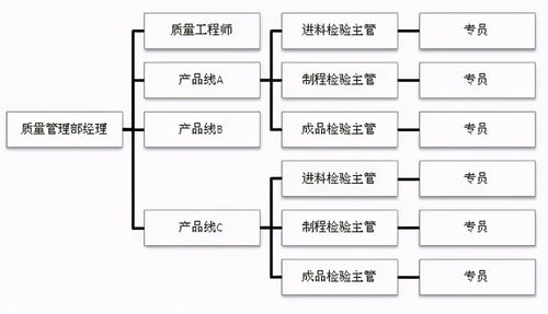 超棒企業質量組織架構圖，員工如何定位自己的位置